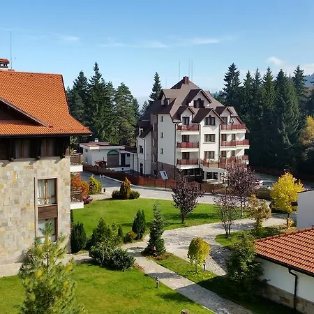 Gitea Semiramida * Borovec