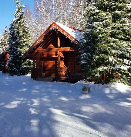 Gitea Semiramida Borovec